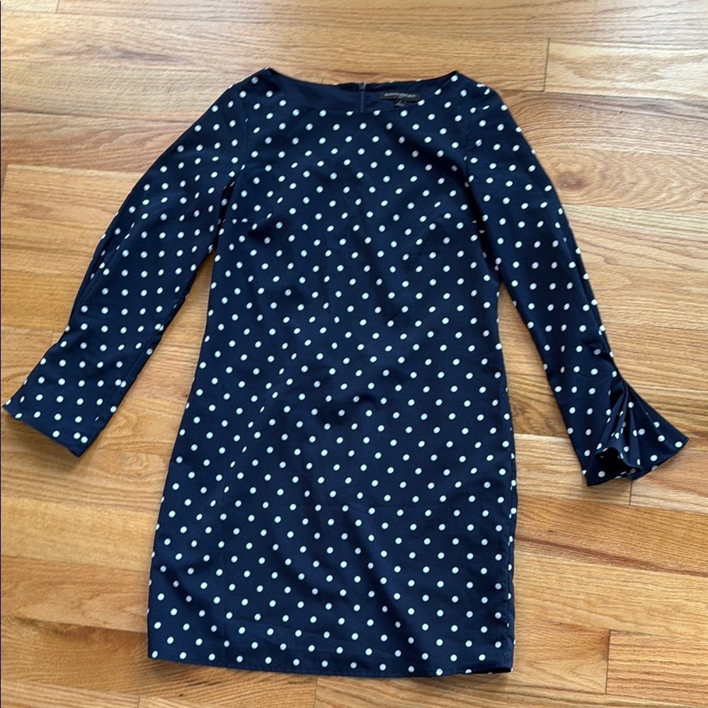 Banana Republic Blue Polka Dot Dress